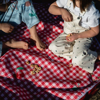 outdoor - playmat & toy bag-pic nic